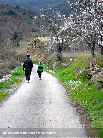 Country lane