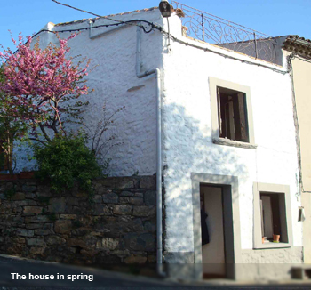 The House