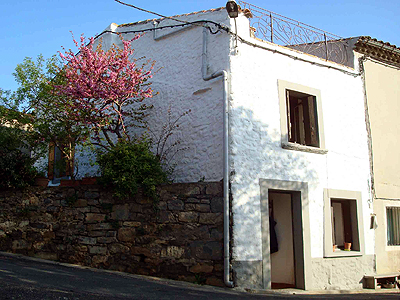 house in spring